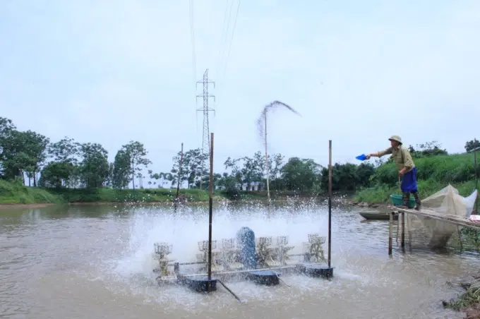 Hệ thống cảm biến thông minh giúp người nuôi cá tại xã Xuân Lãng tiết kiệm đáng kể thời gian, công sức, giảm rủi ro và mang lại hiệu quả kinh tế